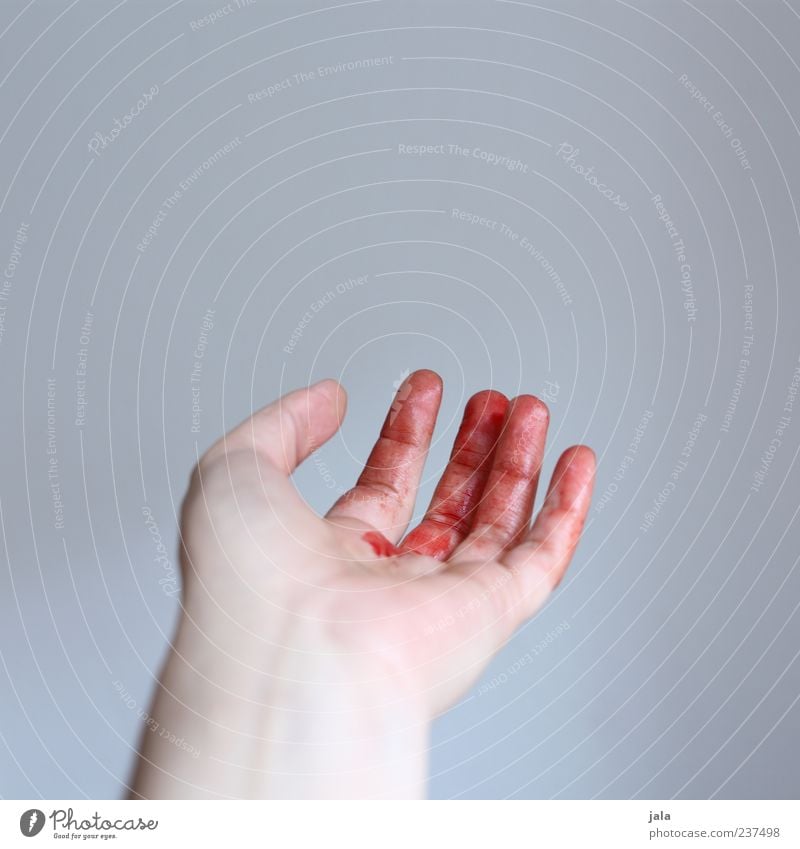 bloody fingers Hand Finger Blut Flüssigkeit rot Schmerz Wunde zeigen Farbfoto Innenaufnahme Textfreiraum oben Hintergrund neutral Tag 1 geschnitten Blutung