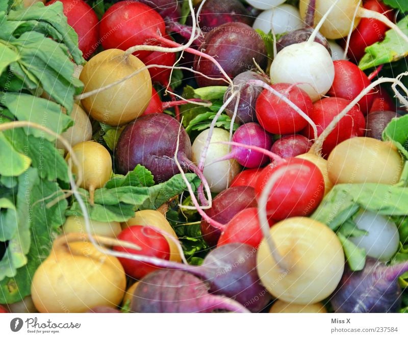 Bunte Kugeln Lebensmittel Gemüse Ernährung Bioprodukte Vegetarische Ernährung frisch lecker mehrfarbig Rettich Radieschen Scharfer Geschmack Wochenmarkt