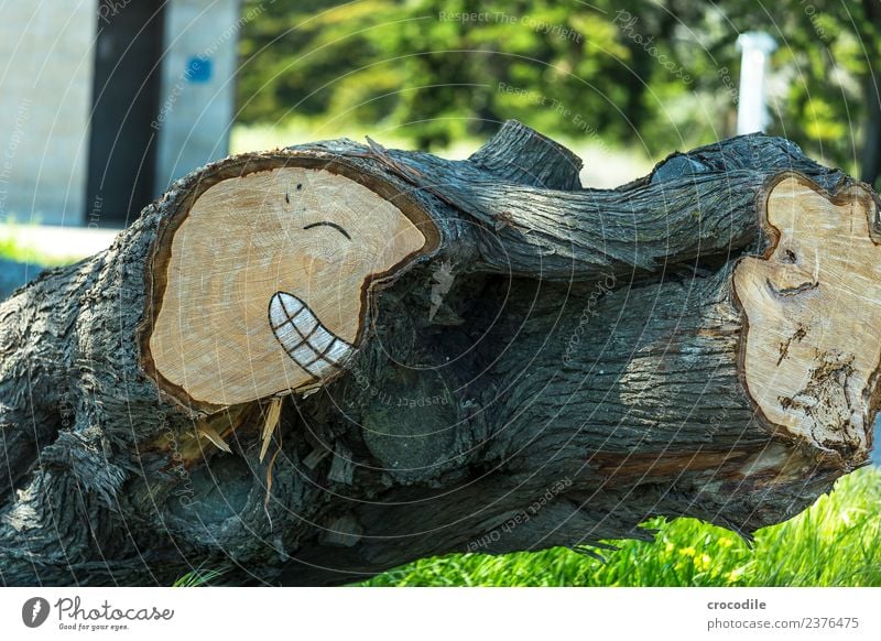 # 745 urban art Holz Baumstamm Ast Smiley Gesicht lachen grinsen Kunst Zeichnung lustig Farbfoto