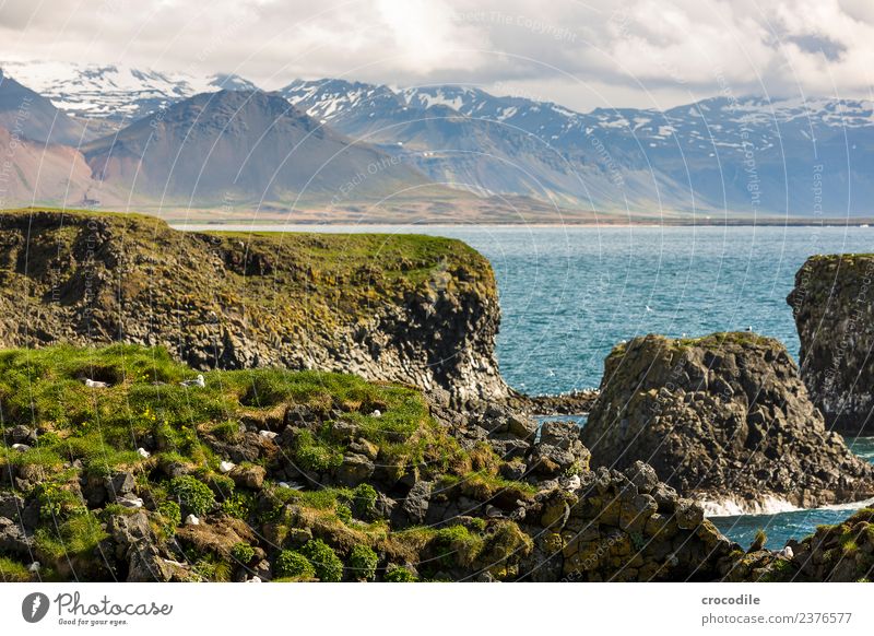 Island VII Klippe Ringstrasse Moos Flechten Berge u. Gebirge Lava grün Panorama (Aussicht) Panorama (Bildformat) wandern Ferne Meer Atlantik Wasser Felsen