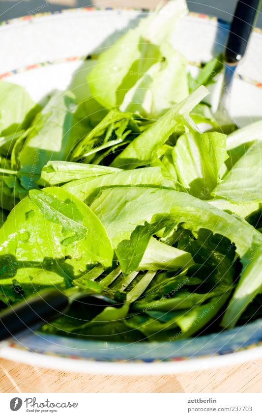 Salat Salatbeilage Kräuter & Gewürze Ernährung Bioprodukte Vegetarische Ernährung Diät Slowfood frisch grün Gabel Farbfoto mehrfarbig Außenaufnahme Nahaufnahme