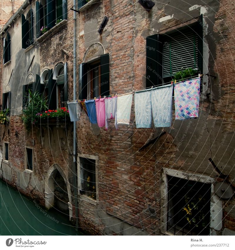 Waschtag in Venedig Ferien & Urlaub & Reisen Italien Stadt Altstadt Haus Architektur Fassade authentisch mehrfarbig Reinlichkeit Sauberkeit Wäsche Wäscheleine