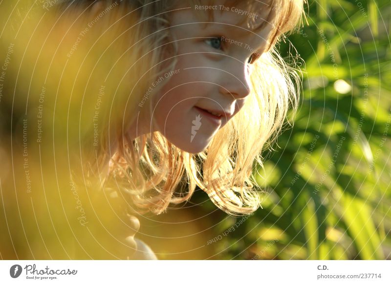Entdeckungstour Mädchen Kindheit Kopf Gesicht 1 Mensch 3-8 Jahre Natur blond rothaarig entdecken Lächeln frech frei Glück Neugier niedlich gelb grün