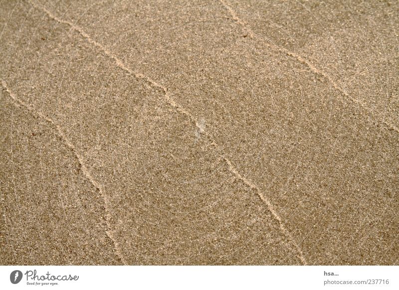 Architektur der Natur Sand Küste Strand Nordsee Insel Amrum ästhetisch natürlich Vergänglichkeit Linie Strukturen & Formen Hintergrundbild Nordseestrand 3