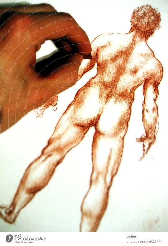 Der DaVinci in mir Zeichner Gemälde Anatomie Mann nackt Hand Leonardo Künstler Zeichnung Rötel Kreide zeichnen Mensch Muskulatur Hinterteil Rücken streichen