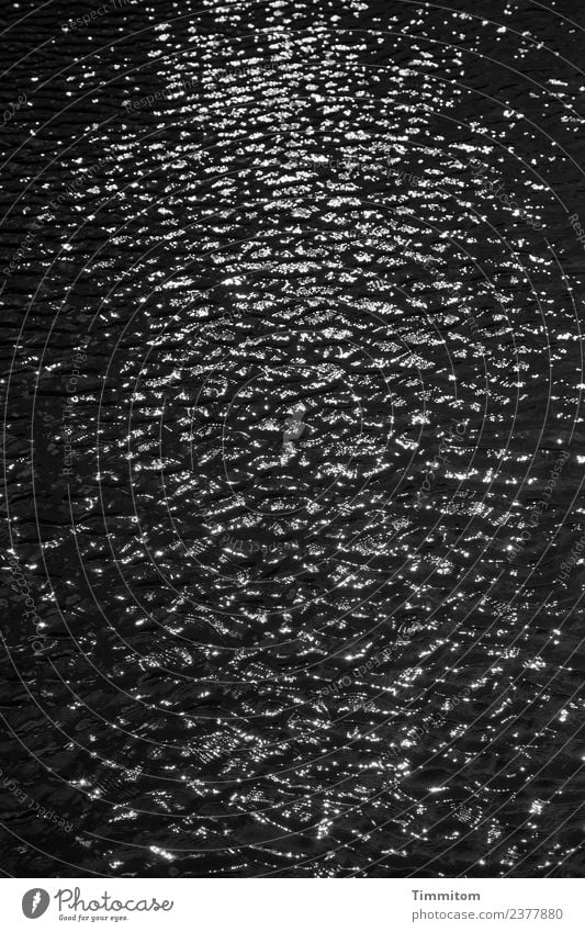 Schwarzes Wasser in Colmar Umwelt Urelemente ästhetisch dunkel einfach schwarz weiß Gefühle Wasseroberfläche fließen ruhig Fluss Lauch Schwarzweißfoto