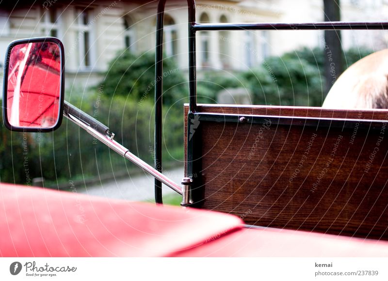 Hoch auf dem roten Wagen Haus Verkehr Verkehrsmittel Personenverkehr Pferdekutsche Kutschbock Rückspiegel Plane Holz braun Sitzfläche Farbfoto Gedeckte Farben