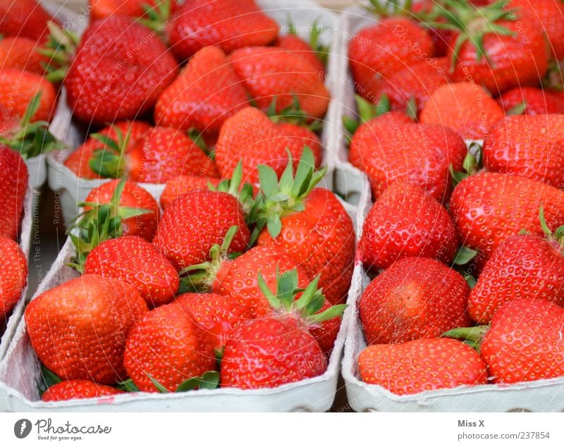 Erdbeerfeld Lebensmittel Frucht Ernährung Bioprodukte Gesundheit lecker saftig süß rot Wochenmarkt Marktstand Erdbeeren Obstschale Farbfoto mehrfarbig