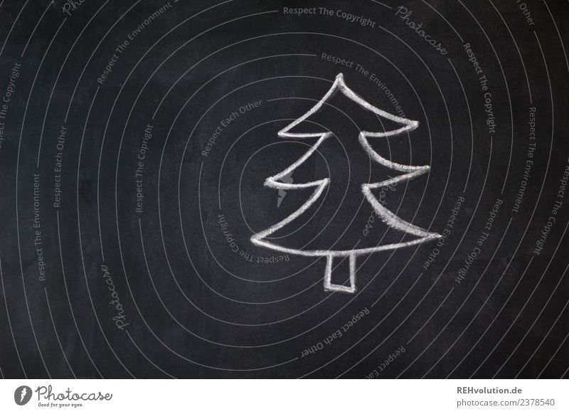 Tafelzeichnung | Tanne Feste & Feiern Weihnachten & Advent Baum außergewöhnlich einzigartig schwarz weiß Weihnachtsbaum Zeichnung Kreide einfach gemalt