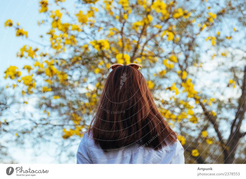 Eine junge Frau, die auf einen Baum schaut. gelb Blatt weiß Hemd Himmel Ast Frühling Sommer langhaarig Blume Sonnenbrille Wald Holz Natur Außenaufnahme