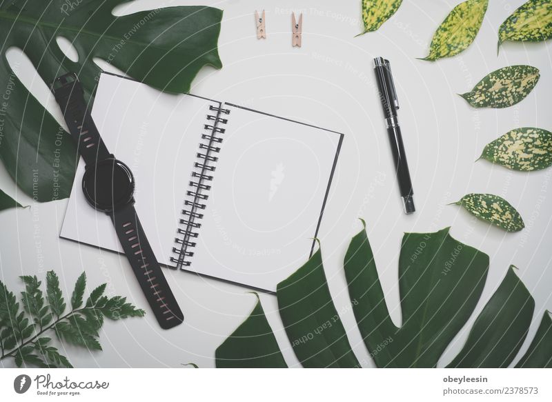 Kreativer flacher Lay mit modischem Objekt auf weißem Hintergrund Kaffee Ferien & Urlaub & Reisen Tourismus Ausflug Sommer Schreibtisch Tisch