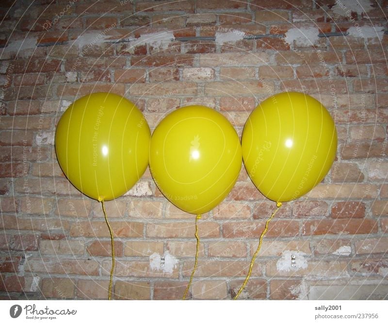 Die 3 Luftikusse Freizeit & Hobby Spielen Luftballon Karneval Mauer Wand Feste & Feiern fliegen Fröhlichkeit rund gelb Leben Glück Kindheit Farbfoto