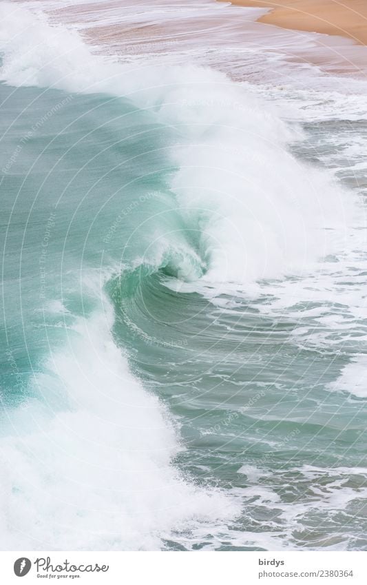 Die Welle , der Brecher Strand Meer Wellen Wasser Küste ästhetisch authentisch Flüssigkeit frisch maritim nass positiv wild türkis weiß Kraft Leben Bewegung