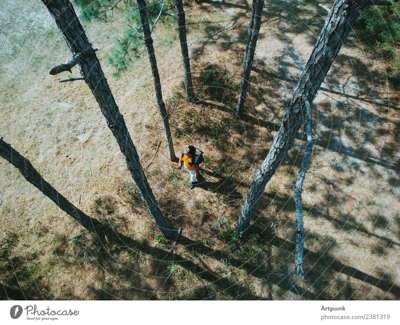 Luftaufnahme eines Wanderers, der durch den Wald geht. wandern Rucksack Baum Stiefel Natur Außenaufnahme Wege & Pfade Park Camping grün braun Gras Blatt Dröhnen