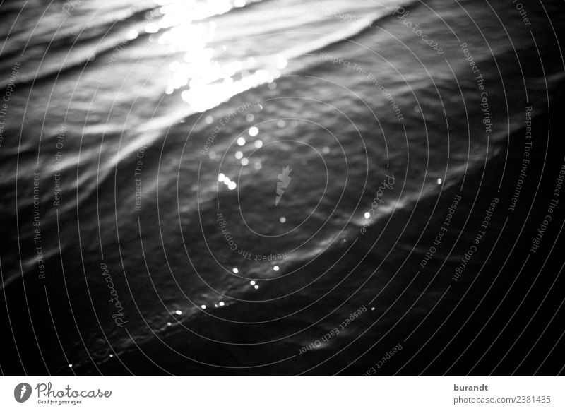 Sommer am Meer II Umwelt Natur Wasser Sonnenaufgang Sonnenuntergang Wellen Küste Strand Nordsee ästhetisch abstrakt glänzend Schwarzweißfoto Außenaufnahme