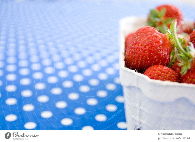 Erdbeerkörbchen Frucht Erdbeeren Ernährung Bioprodukte frisch Gesundheit blau rot weiß Farbe Punkt Farbfoto mehrfarbig Innenaufnahme Textfreiraum links