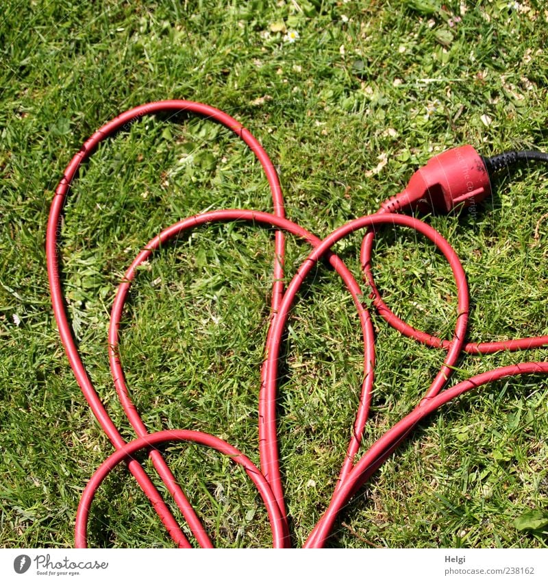 geordnetes Wirrwarr... Kabel Stecker Technik & Technologie Gras Herz Linie liegen außergewöhnlich lang grün rot einzigartig Perspektive Elektrizität
