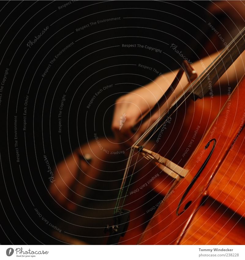 Symphonie Musikunterricht Hand Kunst Künstler Klassik Konzert Musiker Orchester Cello Cellobogen musizieren streichen Leidenschaft Kreativität Musikinstrument