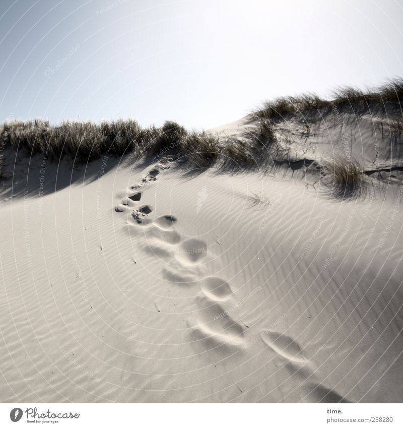 Spiekeroog | Inselgeist Sand Himmel Fußspur hell Abenteuer Duft Einsamkeit Erholung Fortschritt Freiheit geheimnisvoll Leben Risiko Umwelt Wege & Pfade Wunsch