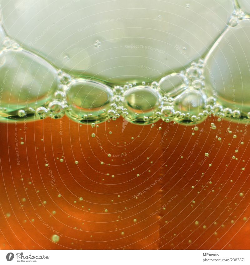 Bubbles II Wasser außergewöhnlich nass rund braun Flüssigkeit Blase viele klein Getränk Glas Farbfoto Innenaufnahme Detailaufnahme Menschenleer