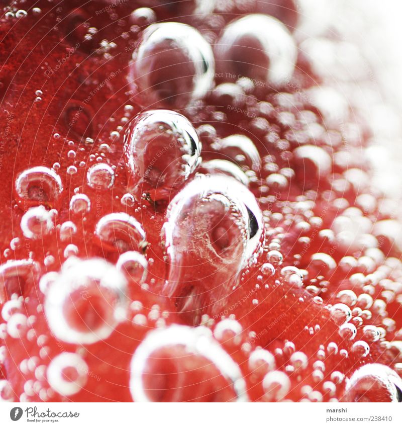 ErdbeerKosmos Frucht Ernährung rot Erdbeeren abstrakt Blase Blubbern Oberfläche Farbfoto Nahaufnahme Detailaufnahme Makroaufnahme Menschenleer Luftblase