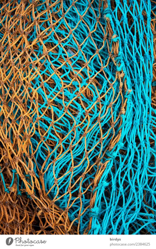 Fischernetze Handwerk Fischereiwirtschaft Kunststoff authentisch orange türkis Farbe Krise ruhig Tradition Netz formatfüllend maritim Farbfoto mehrfarbig