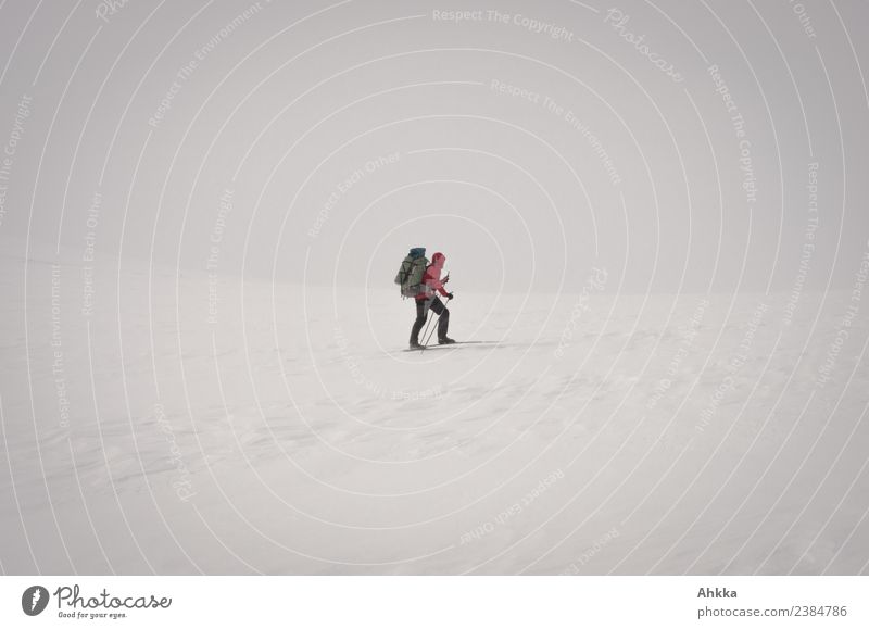 Einsamer Skiwanderer in Schneewüste Abenteuer Expedition Wintersport 1 Mensch Landschaft Urelemente schlechtes Wetter Eis Frost Norwegen authentisch