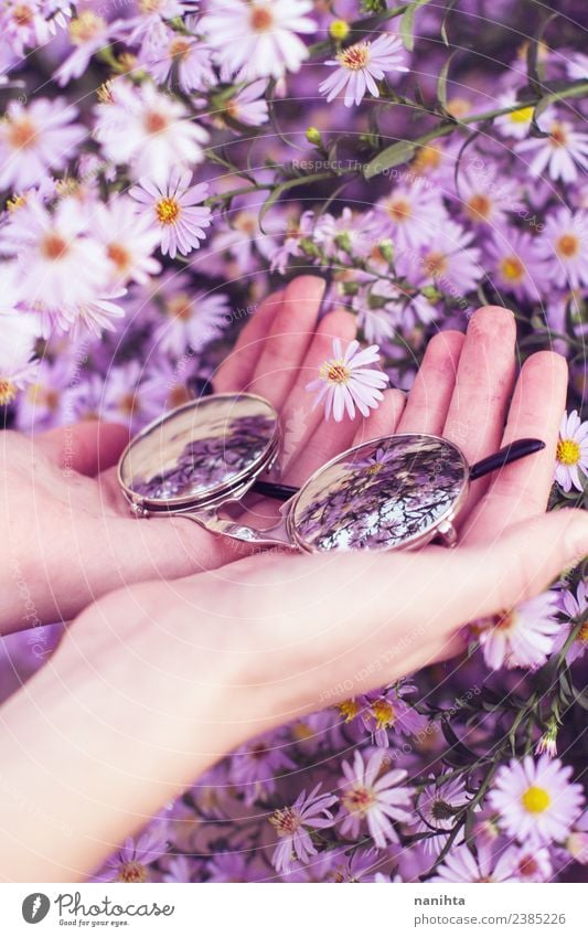 Hände halten Sonnenbrille, umgeben von Blumen. exotisch Hand Umwelt Natur Pflanze Frühling Brille festhalten frisch Unendlichkeit hell schön einzigartig klein