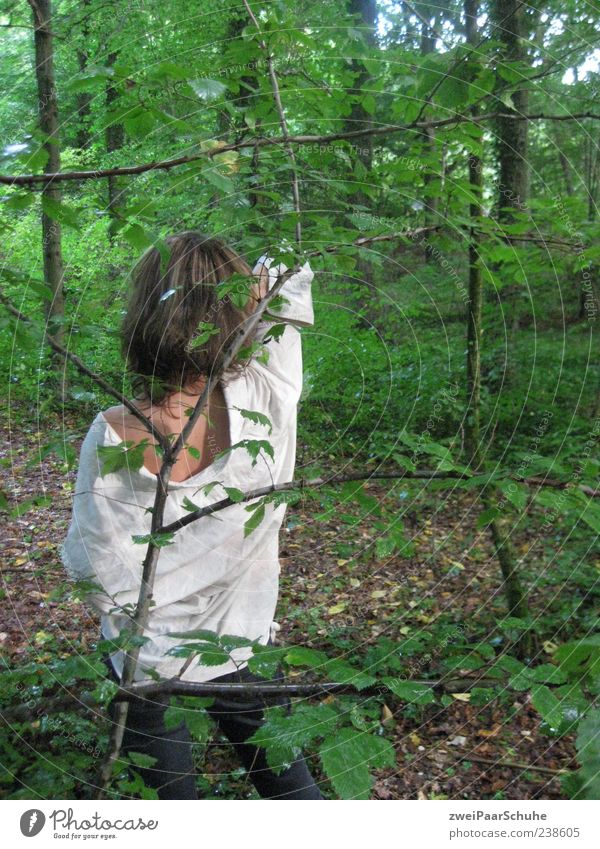 Frau allein im Wald feminin Erwachsene 1 Mensch 18-30 Jahre Jugendliche Natur Gefühle Rückansicht Hemd lässig stehen brünett