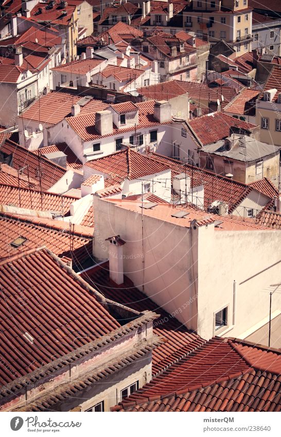 Rooftops. ästhetisch Dach Stadt Lissabon Portugal Idylle Vogelperspektive Gasse mediterran Flair Süden Ziegeldach voll viele Einfamilienhaus eng bevölkert