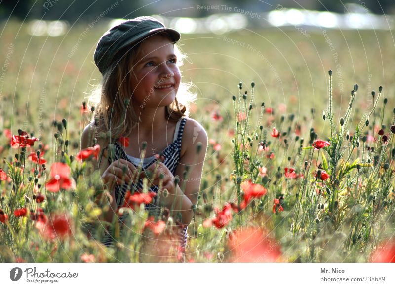 mittendrin Mädchen Kindheit Umwelt Natur Landschaft Sommer Pflanze Blume Gras Park Wiese Feld Kleid Mütze blond langhaarig Locken hocken Glück Zufriedenheit