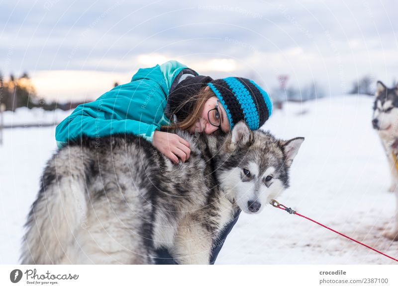 # 762 Husky Hund Junge Frau Streicheln Kuscheln Winter Schnee Schlittenhund Mütze Brille blau Schwache Tiefenschärfe alaskan malamut Nutztier Arbeitstier