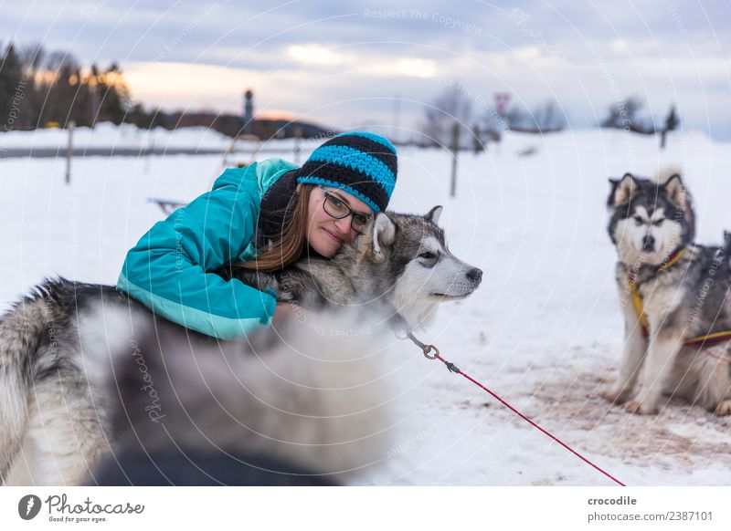 # 761 Husky Hund Junge Frau Streicheln Kuscheln Winter Schnee Schlittenhund Mütze Brille blau Schwache Tiefenschärfe alaskan malamut Nutztier Arbeitstier