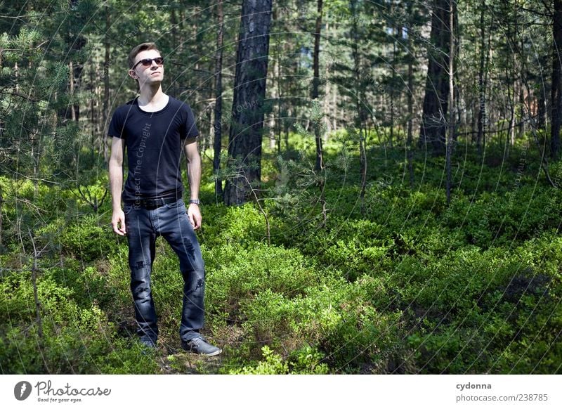 Wood-Style Lifestyle Stil Wohlgefühl Erholung ruhig Ausflug Freiheit Mensch Junger Mann Jugendliche 18-30 Jahre Erwachsene Umwelt Natur Landschaft Sträucher