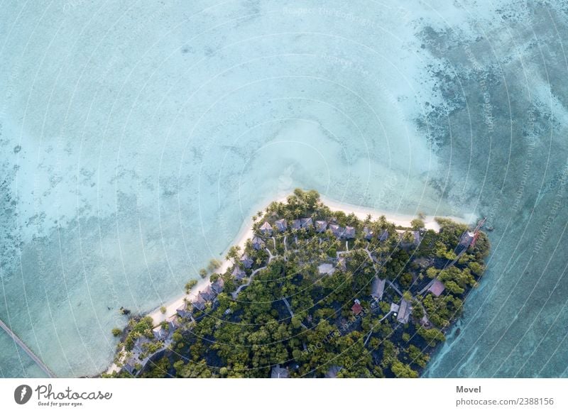 Maratua Atoll Umwelt Natur Sand Luft Wasser Sonne Baum exotisch Küste Strand Bucht Korallenriff Meer fliegen Schwimmen & Baden tauchen blau grün Indonesien