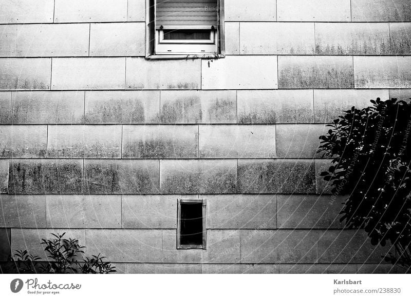 jenseits. Haus Vorgarten Umwelt Pflanze Sträucher Gebäude Mauer Wand Fassade Fenster Rollladen Linie grau schwarz Einsamkeit Rechteck Schwarzweißfoto