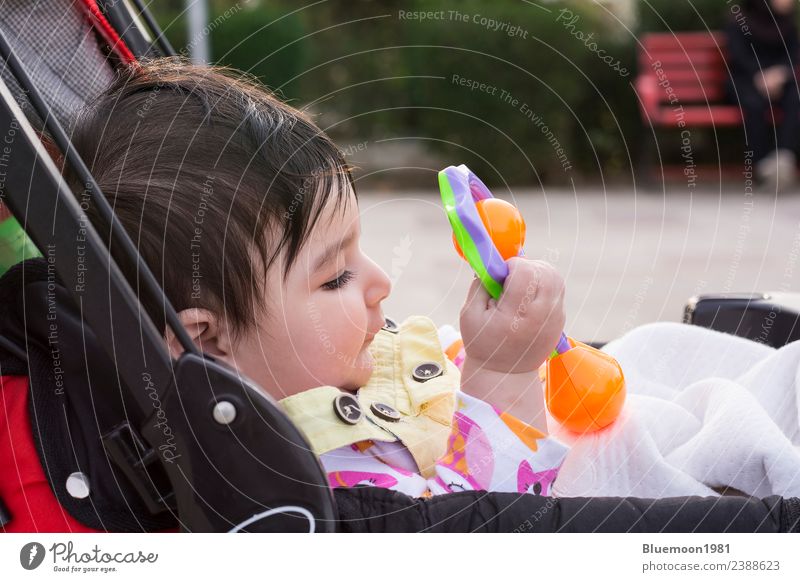 Hübsches Baby, das mit seinem Spielzeug im Kinderwagen auf einem Spaziergang im Park spielt schön Leben Erholung Mensch Kindheit Natur Frühling Blume Verkehr