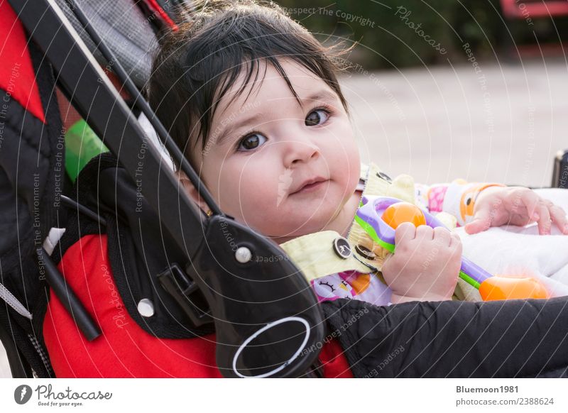 Schönes Baby spielt mit ihrem Spielzeug bei der Kutsche im Park. schön Leben Erholung Kind Mensch Kindheit Natur Frühling Blume Verkehr Kinderwagen genießen