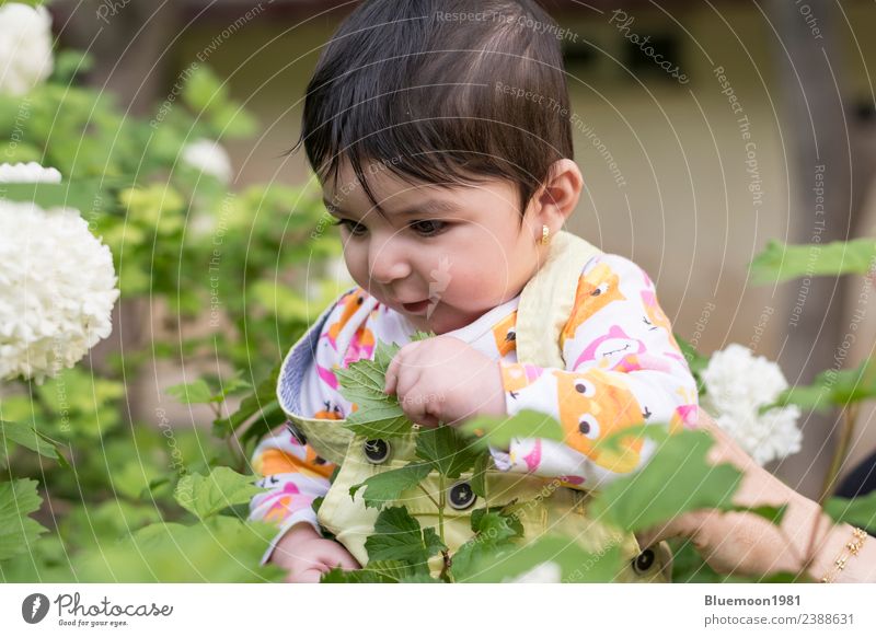 Kleines Babymädchen in buntem Stoff im Frühling Blumen im Park schön Leben Sinnesorgane Erholung Duft Spielen Kind Mensch Kindheit Gesicht Arme 1 0-12 Monate