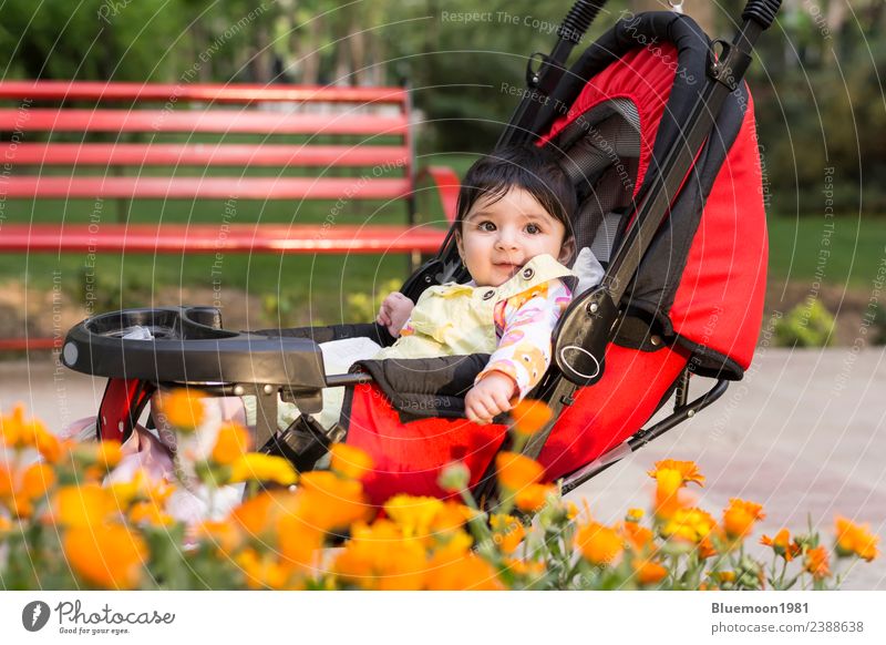 Kleines Babymädchen in buntem Stoff, das in einer modernen Kutsche sitzt. Lifestyle schön Leben Erholung Freizeit & Hobby Kind Industrie Mensch Kindheit 1