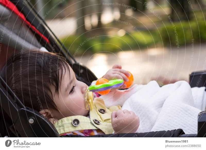 Kleines Baby ruht sich am Kinderwagen aus und spielt mit Spielzeug Lifestyle Erholung Kindererziehung Kindheit Jugendliche 1 0-12 Monate Umwelt Natur