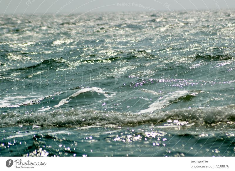 Ostsee Umwelt Natur Wasser Wellen Meer Bewegung Unendlichkeit nass natürlich wild Stimmung Farbfoto Außenaufnahme Menschenleer Tag Licht Reflexion & Spiegelung