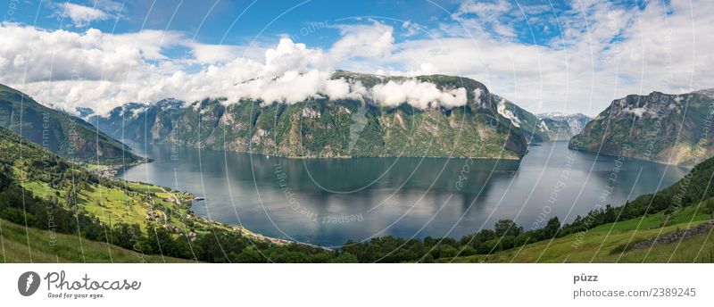 Fjord Erholung ruhig Ferien & Urlaub & Reisen Tourismus Ferne Kreuzfahrt Sommer Sommerurlaub Berge u. Gebirge Umwelt Natur Landschaft Wasser Himmel Wolken