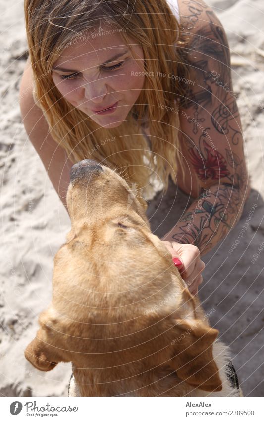 Frau knuddelt blonden Labrador Lifestyle Freude schön harmonisch Kuscheln Sommer Strand Junge Frau Jugendliche Gesicht 18-30 Jahre Erwachsene Sand