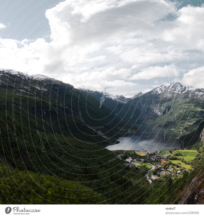 fjordisch Wolken Wald Schneebedeckte Gipfel Küste Fjord Dorf natürlich blau grün Norwegen Geirangerfjord Ferien & Urlaub & Reisen Farbfoto Außenaufnahme