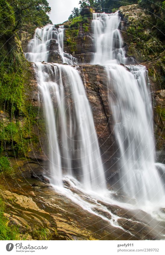 Ramboda Falls Sri Lanka Ferien & Urlaub & Reisen Tourismus Abenteuer Ferne Expedition Berge u. Gebirge Umwelt Natur Landschaft Wasser Urwald Felsen Fluss