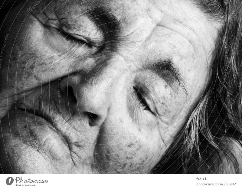 Vom Leben und Sterben Mensch Frau Erwachsene Weiblicher Senior Gesicht 1 60 und älter alt schlafen schön Gefühle Müdigkeit Erschöpfung ruhig Vergangenheit