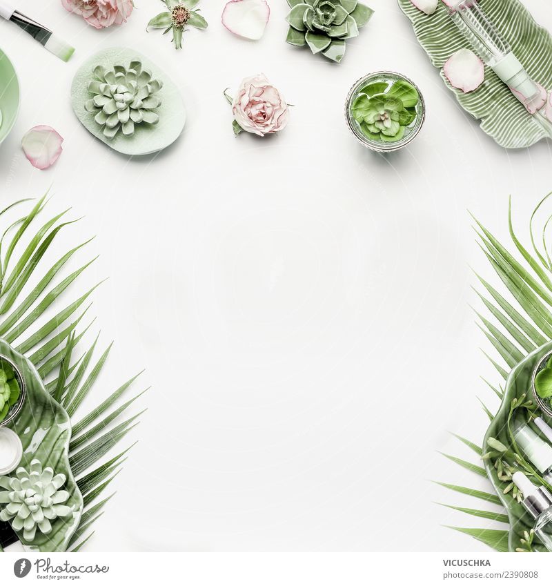 Hintergrund für moderne Kosmetik und Gesichtspflege kaufen Stil Design schön Creme Gesundheit Natur Pflanze Dekoration & Verzierung trendy Hintergrundbild