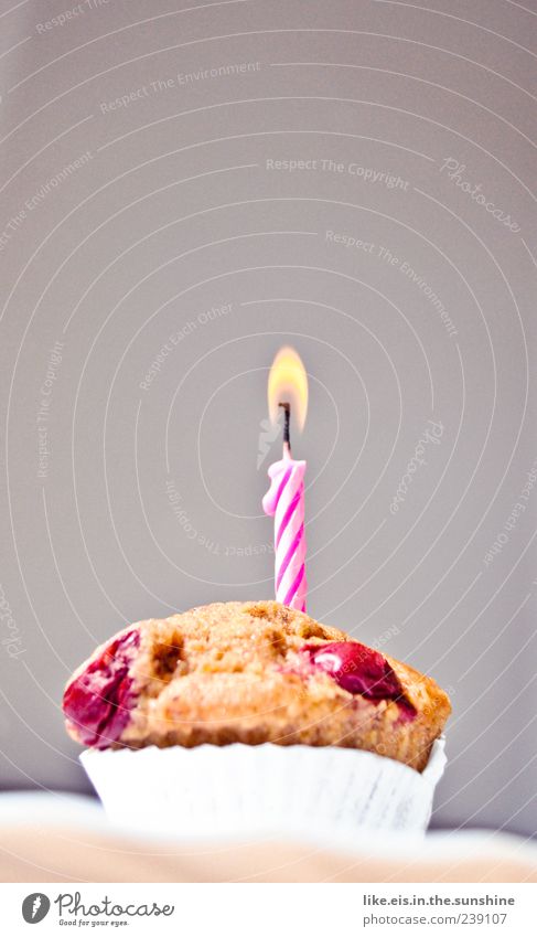happy birthday tooooo you Lebensmittel Kuchen Dessert Süßwaren Feste & Feiern Geburtstag lecker süß rosa weiß Freude Glück Fröhlichkeit Zufriedenheit