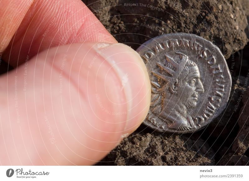 Römische Silbermünze (Denar) mit dem Kaiserportrait Business rund braun rosa silber Geldmünzen Fundstelle Fundstück Boden Feld Ackerboden Imperator König Rom